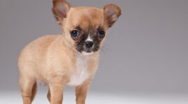 Timeline: Historia de mi vida