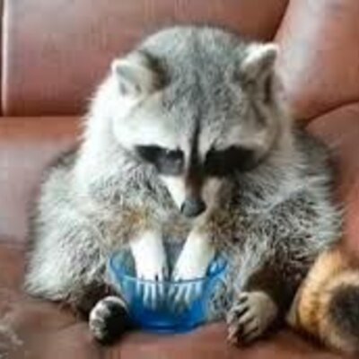 Timeline: la historia de mi vida