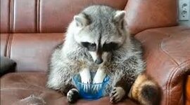 Timeline: la historia de mi vida