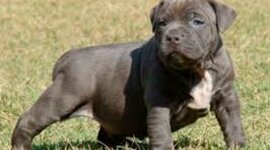 Timeline: Historia de mi vida