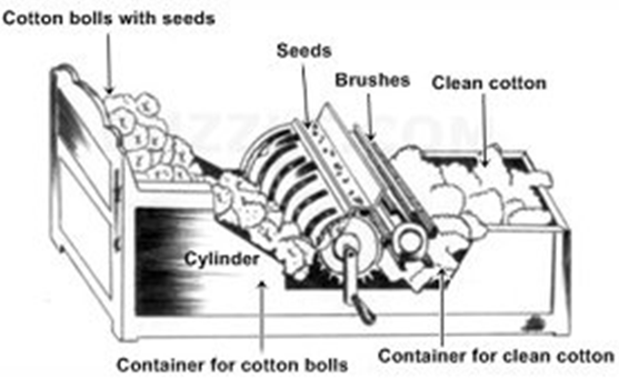 The Cotton Gin