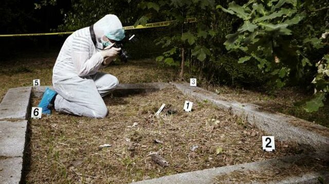 Graduación de Universidad