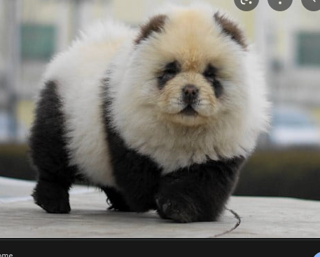 my dad was born back then