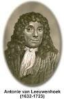 Anton van Leeuwenhoek