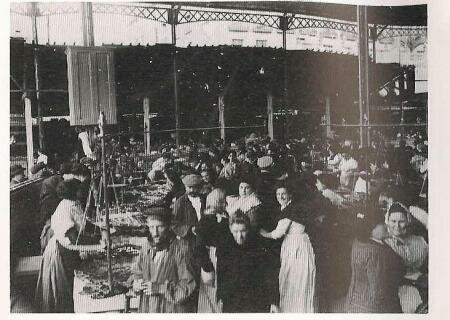 Evolución de intercambios