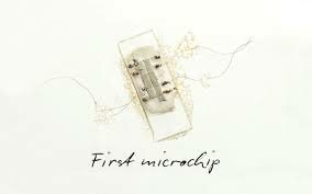 The Microchip