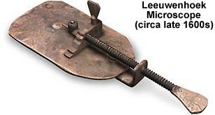 Anton van Leeuwenhoek