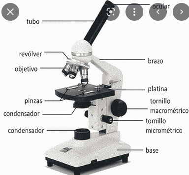Invención del microscopio
