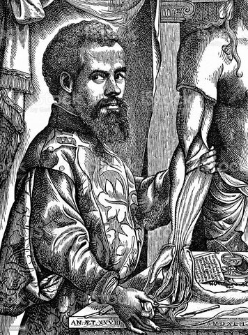 Vesalius