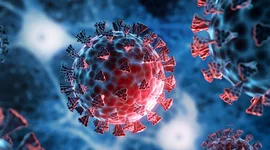 Timeline: Pandemias más catastróficas de la Historia