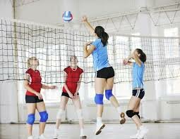 Volleybal