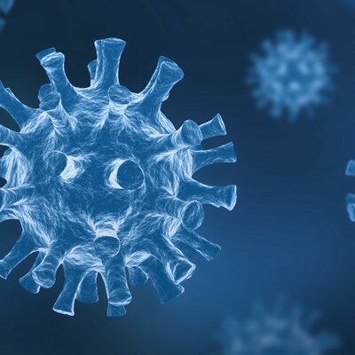 Timeline: 2020: The Year of the Pandemic in America (CO 333)