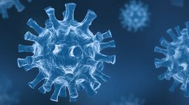 Timeline: 2020: The Year of the Pandemic in America (CO 333)