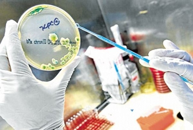 Detectan bacteria resistente y hay un muerto en Maldonado