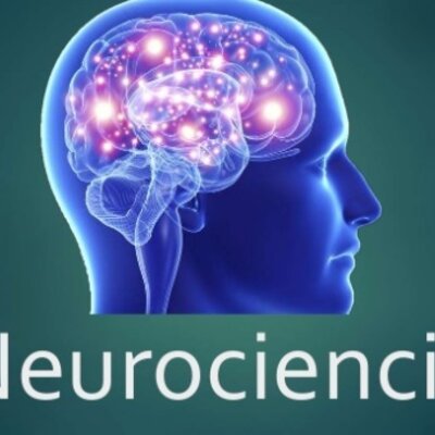 Timeline: Historia de la neurociencia