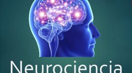 Timeline: Historia de la neurociencia