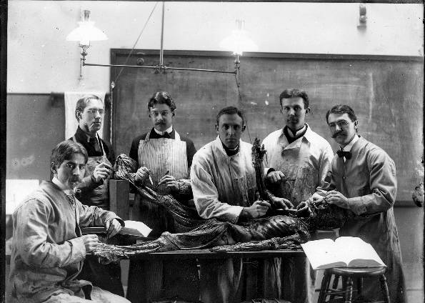 As descobertas do século XX