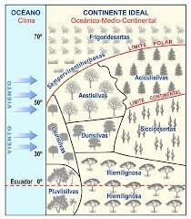 Brockmann-Jerosch y Rübel