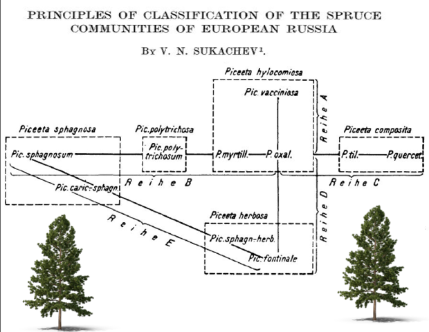 Serie ecológica compuesta para bosques de abeto
