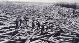 Timeline: Logging and Timber Production in The Upper Hudson Watershed 1800-1950