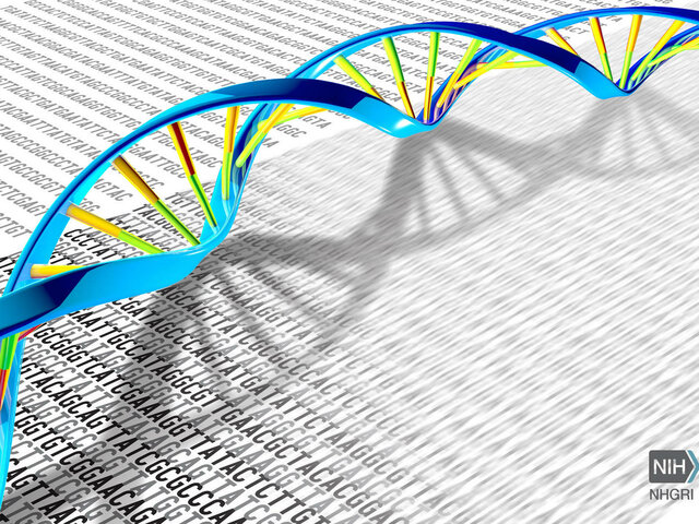 Secuenciación de genoma
