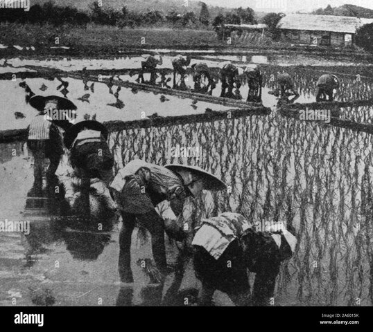 Créditos por el Banco de Japón