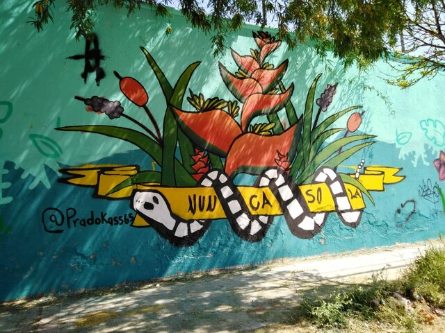 Creatividad para la Paz