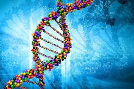 En 2012 la Agencia Europea de Medicamentos aprueba la primera terapia genética de administración única para una enfermedad hereditaria. Glybera trata la deficiencia de lipoproteína lipasa