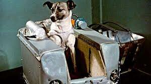 Sputnik 2 - Laika