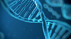 Timeline: HISTORIA DE LA GENETICA