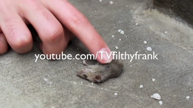 DizastaMusic final upload