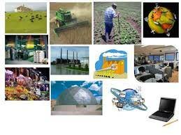 EMPRENDIMIENTOS ECONOMICOS