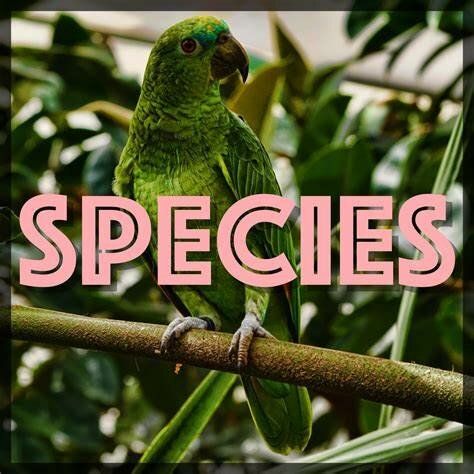 Helped launch the ALL Species Foundation