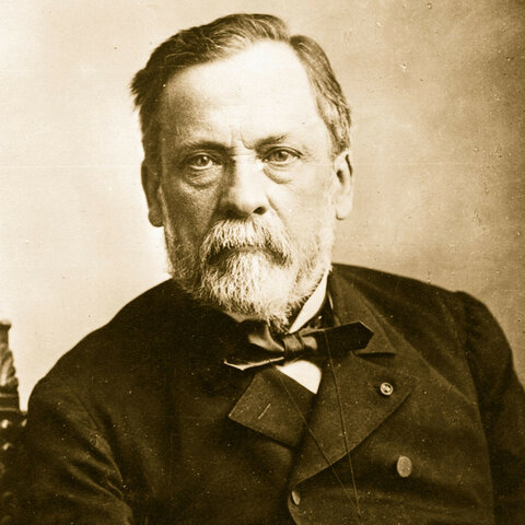 Louis Pasteur-All cells arise from pre-existing cells.