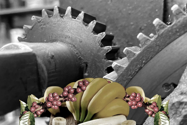 Tratado comercial con Estados Unidos