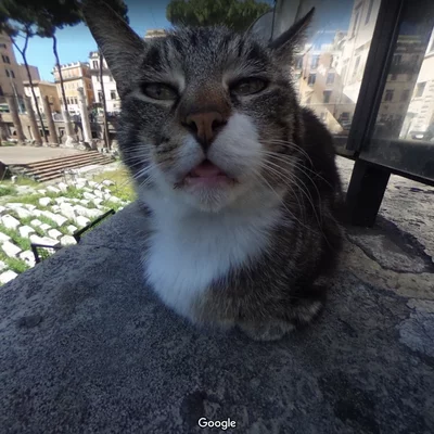 Timeline: Battles we went over in class from the first world war