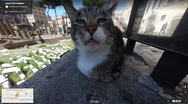 Timeline: Battles we went over in class from the first world war