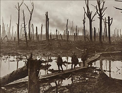 Third battle of ypre (Battle of Passchendaele)