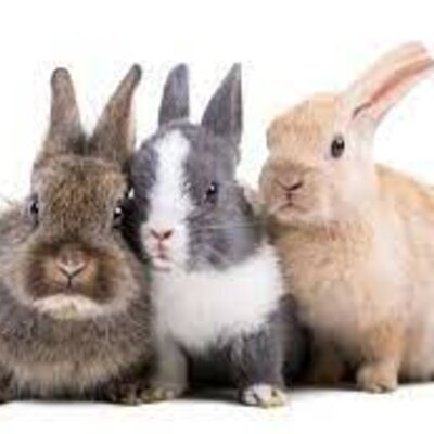 Timeline: HISTORIA DE MI VIDA