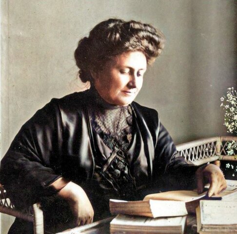 стала директором