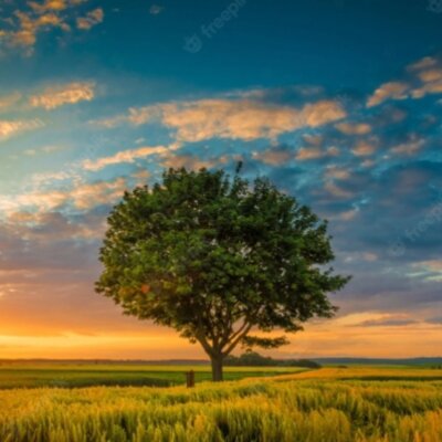 Timeline: History of America