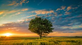 Timeline: History of America