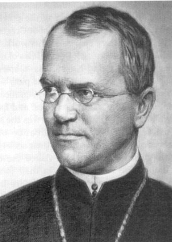 Gregor Mandel