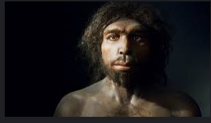 Homo antecessor