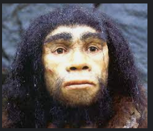 Homo Heidelbergensis