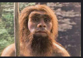 Homo narderthalensis
