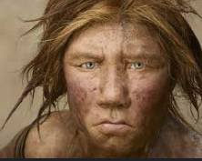 Homo sapiens sapiens