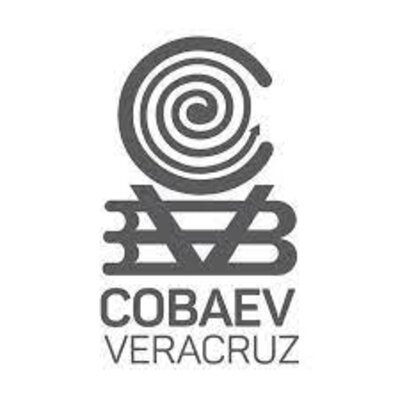 Timeline: Modelo de desarrollo compartido - Modelo de desarrollo acelerado