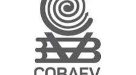 Timeline: Modelo de desarrollo compartido - Modelo de desarrollo acelerado