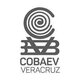 Logo cobaev